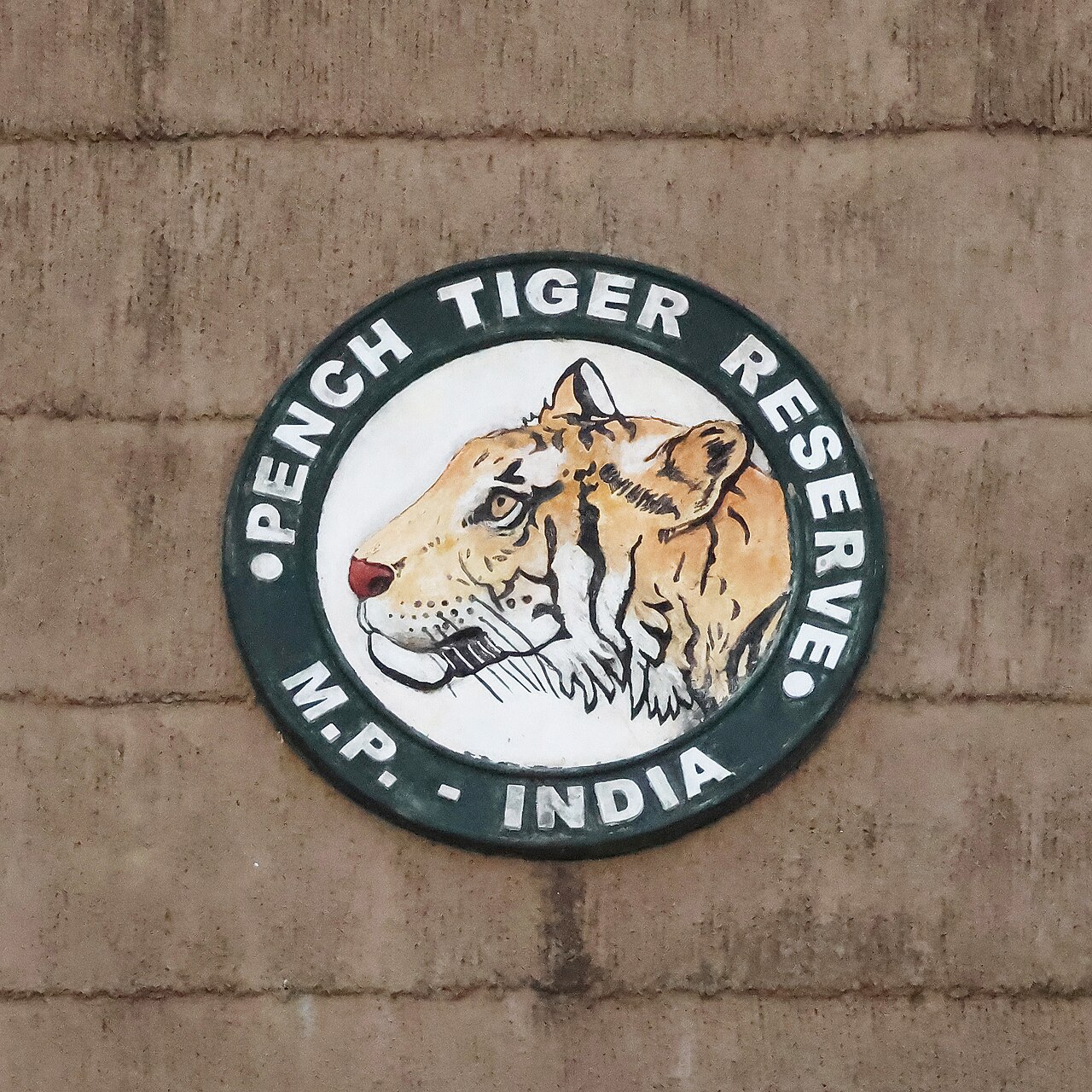 Tiger and leopard at Penchh